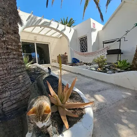 Palm Point Apartamento